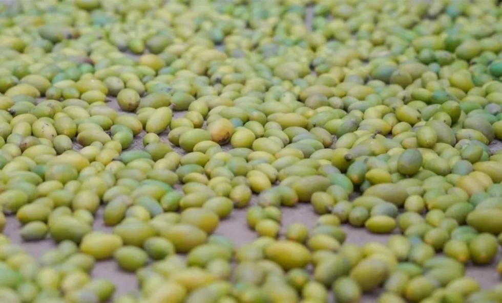 人气超高!闽侯小箬乡热闹非凡!