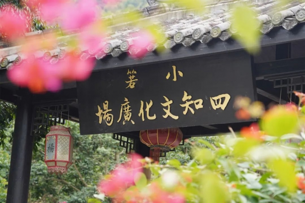 人气超高!闽侯小箬乡热闹非凡!