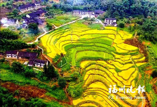永泰盘富村：偏远山村复兴农耕