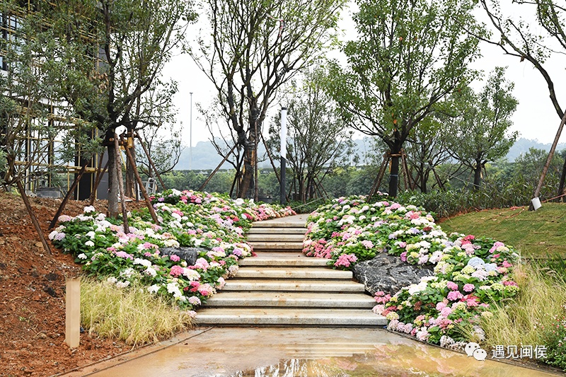 超1万个就业岗位！媲美4A级景区的科创园区，了解一下