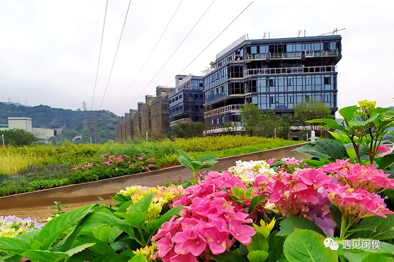 超1万个就业岗位！媲美4A级景区的科创园区，了解一下