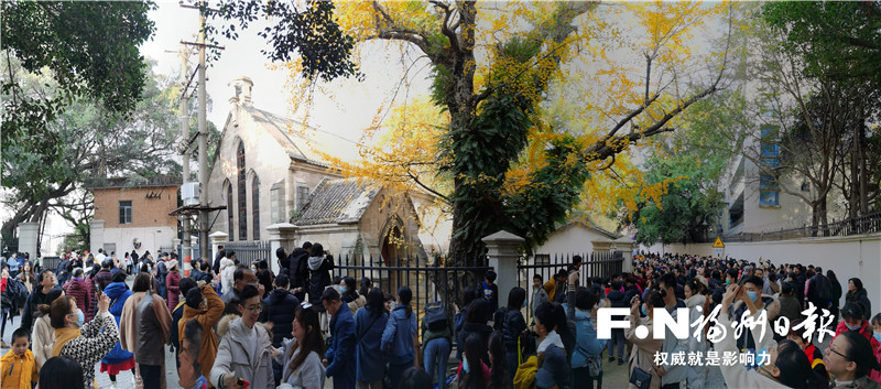 福州：黄了银杏 火了烟台山