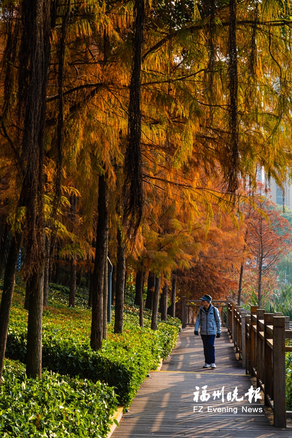 游客在琴亭湖公园湖畔栈道散步。 游客在琴亭湖公园湖畔栈道散步。